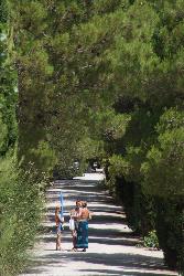 Les Verguettes Provenza-Alpes-Costa Azul - Villes-sur-Auzon visuel 2/5