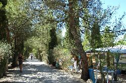 Les Verguettes Provenza-Alpes-Costa Azul - Villes-sur-Auzon visuel 3/5