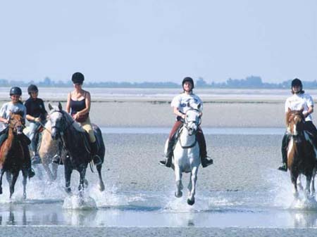 Les Vertes Feuilles Picardía - Quend visuel 9/11 Les Vertes Feuilles Picardía - Quend visuel 9/11