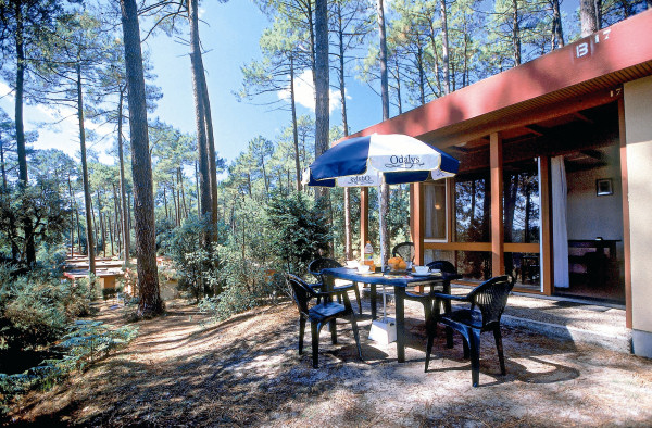 Les Villages sous les Pins Aquitania - Léon visuel 6/10