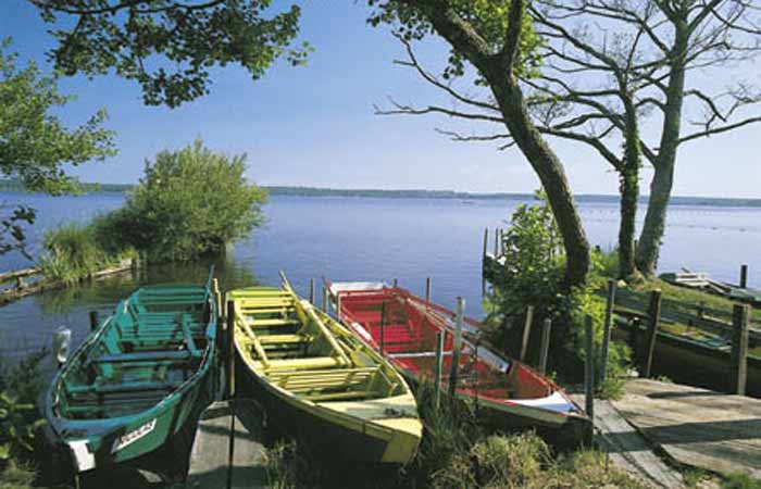 Les Villages sous les Pins Aquitania - Léon visuel 10/10