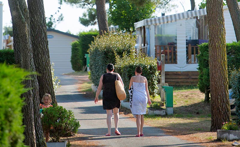 Les Violettes Países del Loira - La Faute-sur-Mer visuel 10/12 Les Violettes Países del Loira - La Faute-sur-Mer visuel 10/12