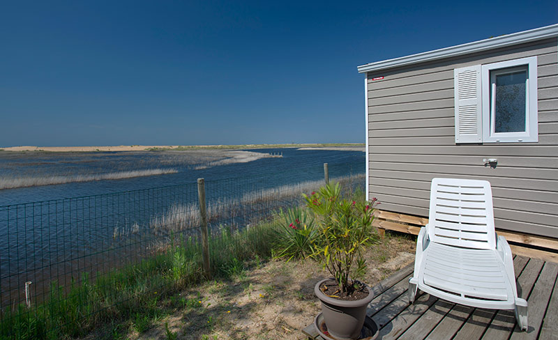 Les Violettes Países del Loira - La Faute-sur-Mer visuel 11/12 Les Violettes Países del Loira - La Faute-sur-Mer visuel 11/12