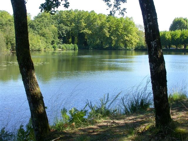 L'Etang d'Ardy Aquitania - Saint-Paul-lès-Dax visuel 2/3