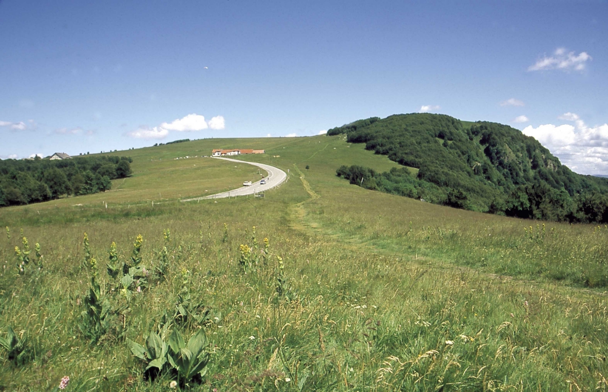 L'Etang des Forges Franco Condado - Belfort visuel 8/9
