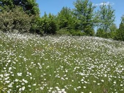 Les Portes du Morvan Bourgogne - Issy-l'Évêque visuel 8/9
