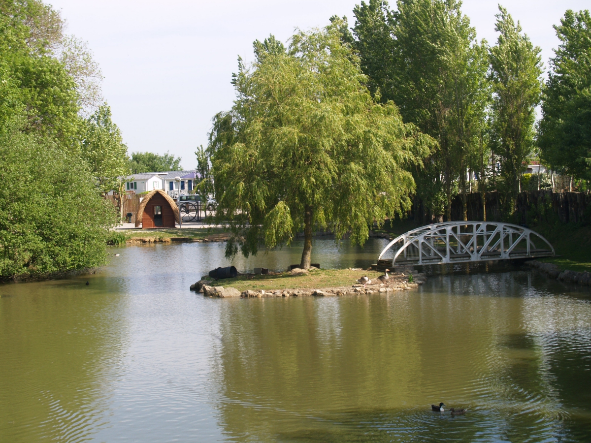 L'Eté Indien Norte-Paso de Calais - Wimereux visuel 2/8 L'Eté Indien Norte-Paso de Calais - Wimereux visuel 2/8