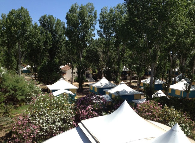 L'Etoile de Mer Languedoc-Rosellón - Sérignan visuel 12/12 L'Etoile de Mer Languedoc-Rosellón - Sérignan visuel 12/12