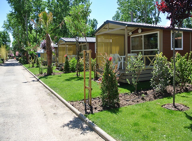 L'Etoile de Mer Languedoc-Rosellón - Sérignan visuel 5/12 L'Etoile de Mer Languedoc-Rosellón - Sérignan visuel 5/12