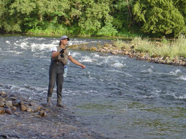 L'Europe Limosín - Monceaux-sur-Dordogne visuel 9/10 L'Europe Limosín - Monceaux-sur-Dordogne visuel 9/10