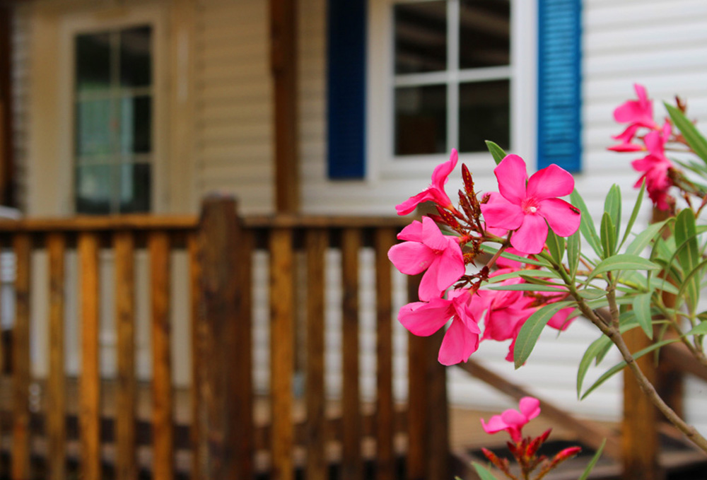 L'Evasion Languedoc-Rosellón - Fontès visuel 1/1 L'Evasion Languedoc-Rosellón - Fontès visuel 1/1