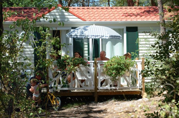 L'Hirondelle Ródano-Alpes - Menglon visuel 10/10
