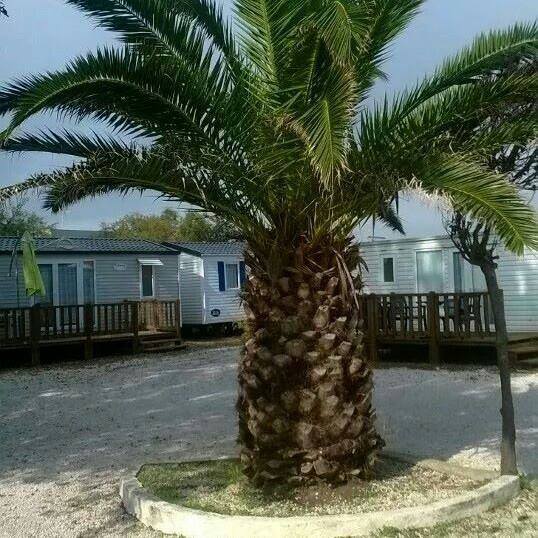 L'Horizon Languedoc-Rosellón - Frontignan visuel 1/1