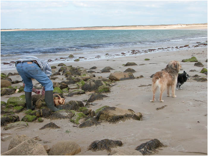 L'Idéal Bretaña - Erdeven visuel 10/10 L'Idéal Bretaña - Erdeven visuel 10/10