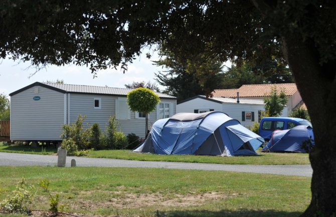 L'ile aux Oiseaux Países del Loira - L'Île-d'Olonne visuel 5/8