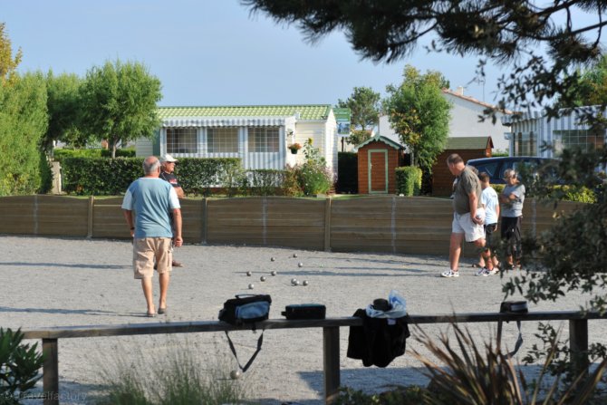 L'ile aux Oiseaux Países del Loira - L'Île-d'Olonne visuel 6/8