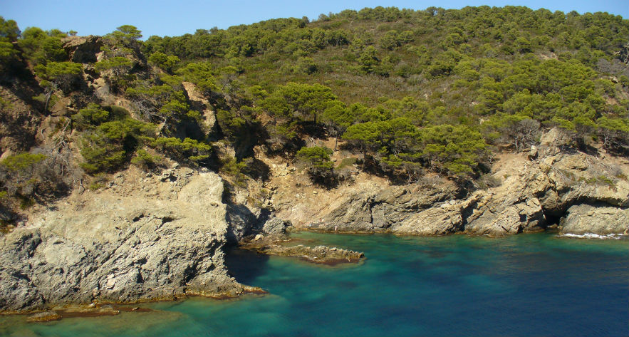 L'Ile d'Or Provenza-Alpes-Costa Azul - Hyères visuel 31/32 L'Ile d'Or Provenza-Alpes-Costa Azul - Hyères visuel 31/32