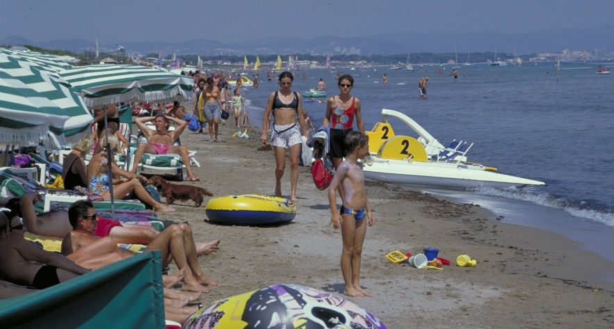 L'Ile d'Or Provenza-Alpes-Costa Azul - Hyères visuel 16/32 L'Ile d'Or Provenza-Alpes-Costa Azul - Hyères visuel 16/32