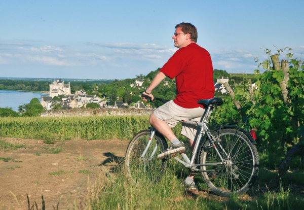 L'Isle Verte Países del Loira - Montsoreau visuel 24/28 L'Isle Verte Países del Loira - Montsoreau visuel 24/28