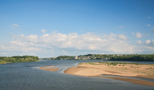 L'Isle Verte Países del Loira - Montsoreau visuel 22/28 L'Isle Verte Países del Loira - Montsoreau visuel 22/28