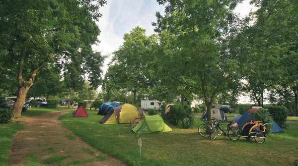 L'Isle Verte Países del Loira - Montsoreau visuel 21/28 L'Isle Verte Países del Loira - Montsoreau visuel 21/28