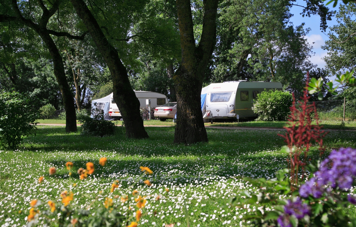 L'Isle Verte Países del Loira - Montsoreau visuel 20/28 L'Isle Verte Países del Loira - Montsoreau visuel 20/28