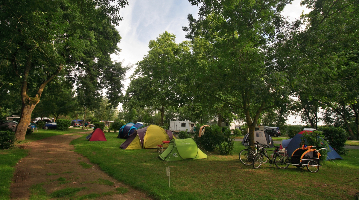 L'Isle Verte Países del Loira - Montsoreau visuel 19/28 L'Isle Verte Países del Loira - Montsoreau visuel 19/28