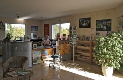 L'Oliveraie Languedoc-Rosellón - Laurens visuel 2/10 L'Oliveraie Languedoc-Rosellón - Laurens visuel 2/10