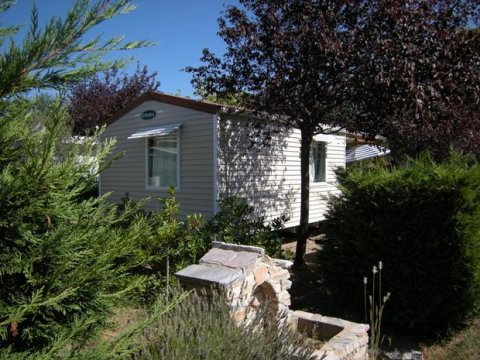 L'Oliveraie Languedoc-Rosellón - Laurens visuel 4/10 L'Oliveraie Languedoc-Rosellón - Laurens visuel 4/10