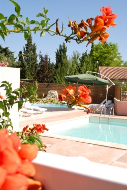 l'Olivier Languedoc-Rosellón - Junas visuel 3/11 l'Olivier Languedoc-Rosellón - Junas visuel 3/11