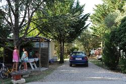 l'Olivier Languedoc-Rosellón - Junas visuel 5/11 l'Olivier Languedoc-Rosellón - Junas visuel 5/11