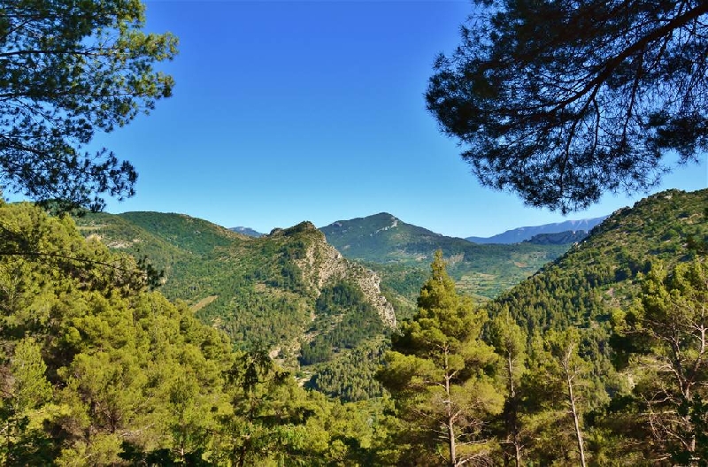 L'Orée de Provence Ródano-Alpes - Buis-les-Baronnies visuel 4/4
