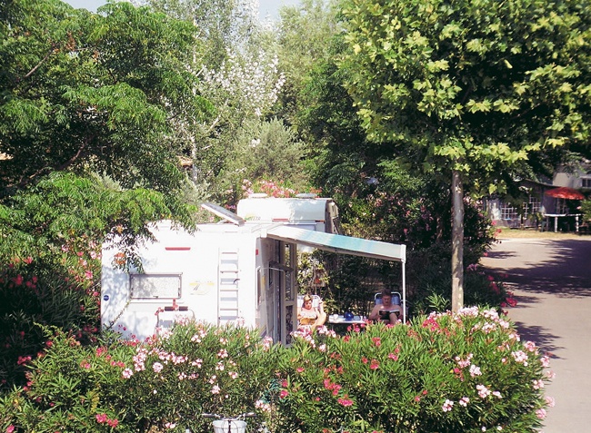 Lou Comtadou Provenza-Alpes-Costa Azul - Carpentras visuel 2/10 Lou Comtadou Provenza-Alpes-Costa Azul - Carpentras visuel 2/10