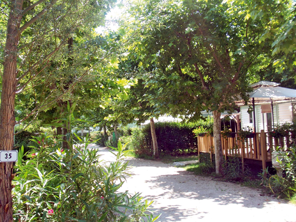 Lou Comtadou Provenza-Alpes-Costa Azul - Carpentras visuel 4/10 Lou Comtadou Provenza-Alpes-Costa Azul - Carpentras visuel 4/10