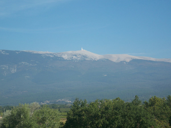 Lou Comtadou Provenza-Alpes-Costa Azul - Carpentras visuel 6/10 Lou Comtadou Provenza-Alpes-Costa Azul - Carpentras visuel 6/10