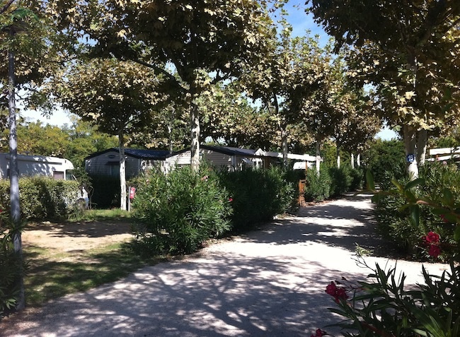 Lou Comtadou Provenza-Alpes-Costa Azul - Carpentras visuel 8/10 Lou Comtadou Provenza-Alpes-Costa Azul - Carpentras visuel 8/10