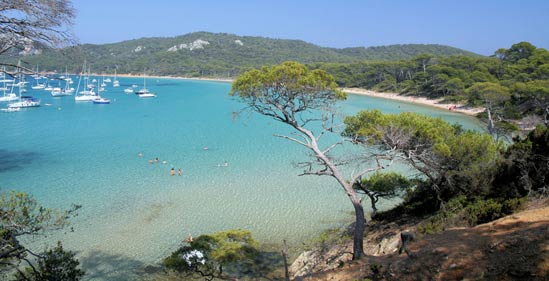 Lou Pantaï Provenza-Alpes-Costa Azul - Le Pradet visuel 6/10