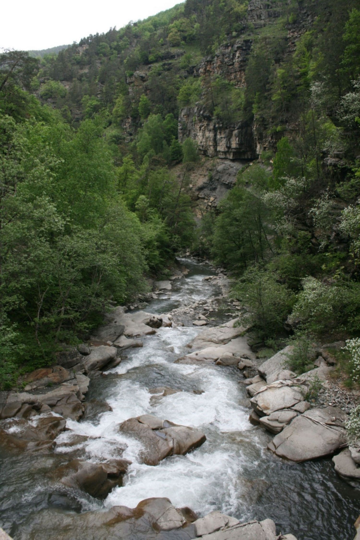 Lou Passavous Provenza-Alpes-Costa Azul - Le Vernet visuel 7/7