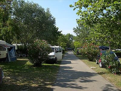 Lou Vincen Languedoc-Rosellón - Vallabrègues visuel 6/6 Lou Vincen Languedoc-Rosellón - Vallabrègues visuel 6/6