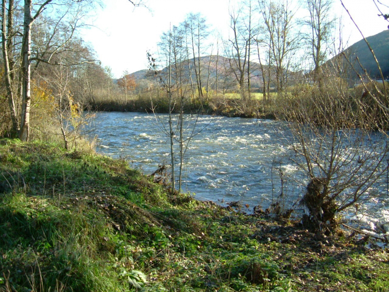 l’Alagnon Auvernia - Massiac visuel 2/6 l’Alagnon Auvernia - Massiac visuel 2/6
