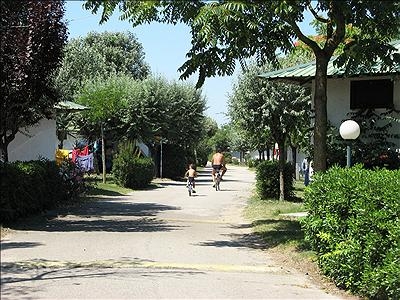 Malibu Beach Véneto - Lido di Jesolo visuel 6/9 Malibu Beach Véneto - Lido di Jesolo visuel 6/9