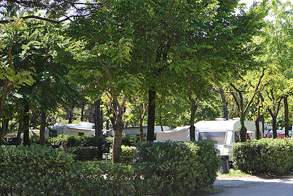 Malibu Beach Véneto - Lido di Jesolo visuel 8/9 Malibu Beach Véneto - Lido di Jesolo visuel 8/9