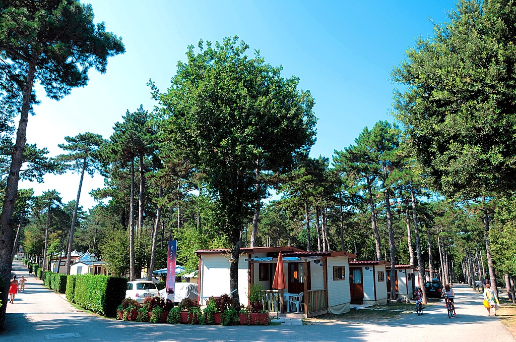 Mare Pineta Friul-Venecia Julia - Sistiana visuel 5/11 Mare Pineta Friul-Venecia Julia - Sistiana visuel 5/11