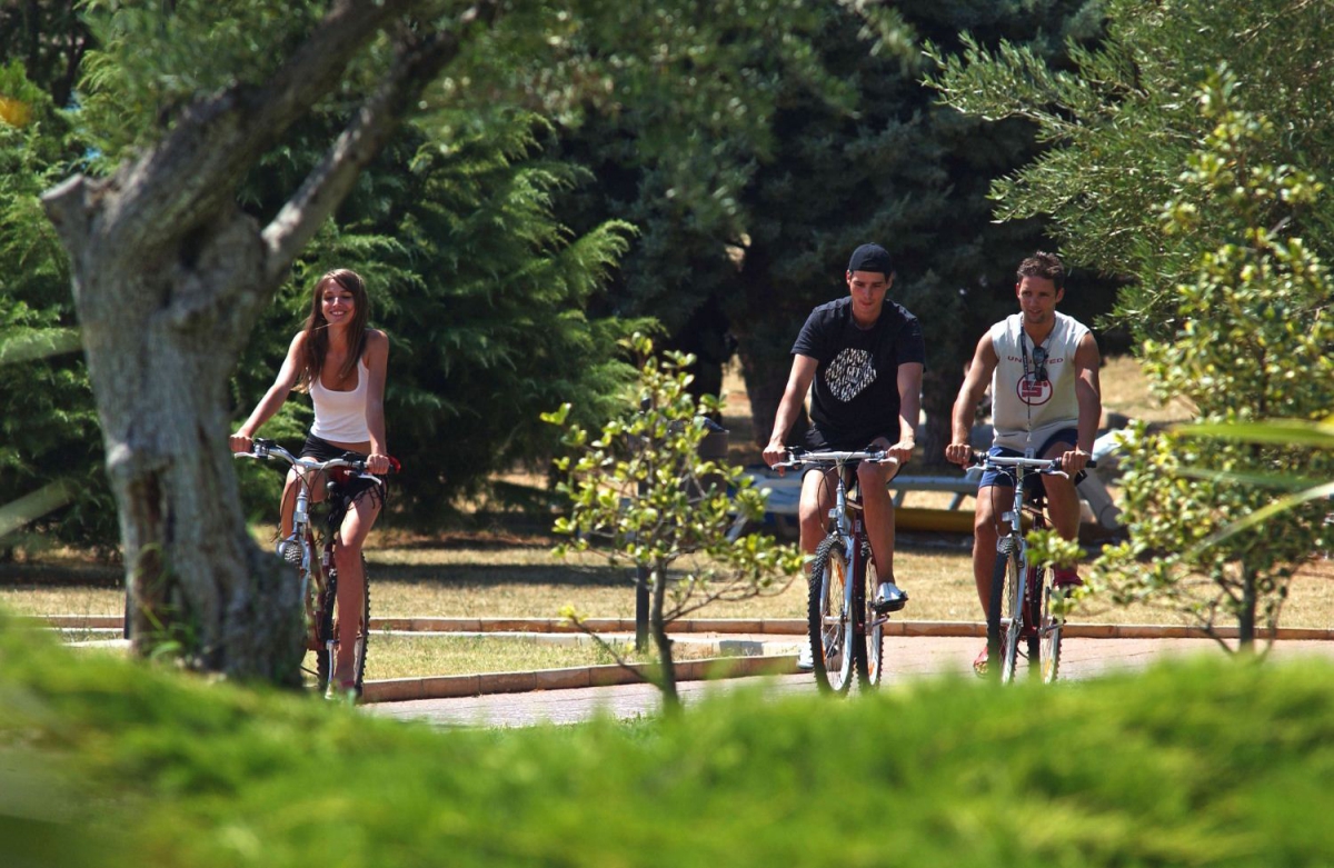 Mareda Istria - Novigrad visuel 6/10