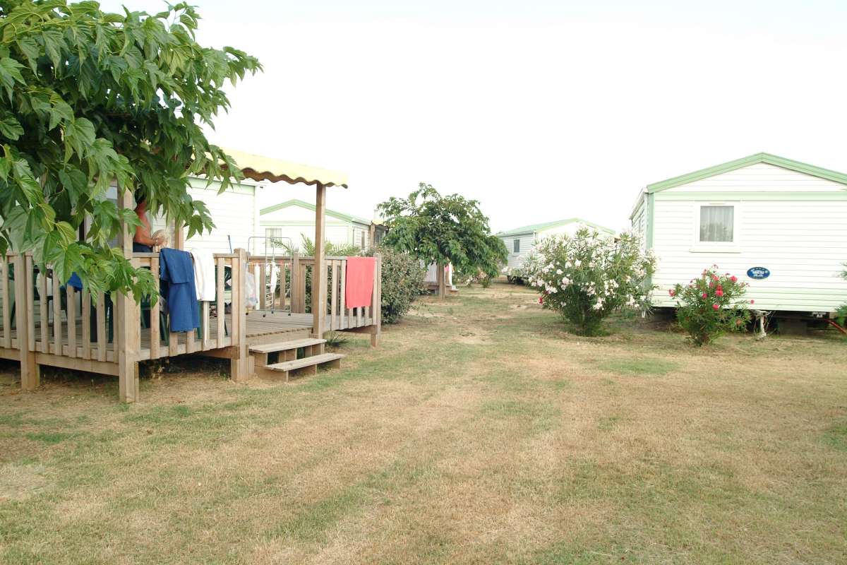 Marina d'Aléria Córcega - Aléria visuel 5/10