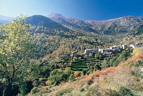 Marina d'Aléria Córcega - Aléria visuel 9/10