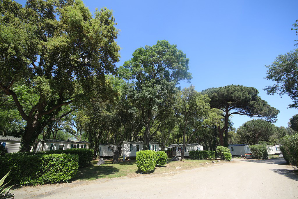 Marina Paradise Provenza-Alpes-Costa Azul - Cogolin visuel 5/16