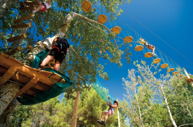 Marin'Palm Languedoc-Rosellón - Vic-la-Gardiole visuel 6/8