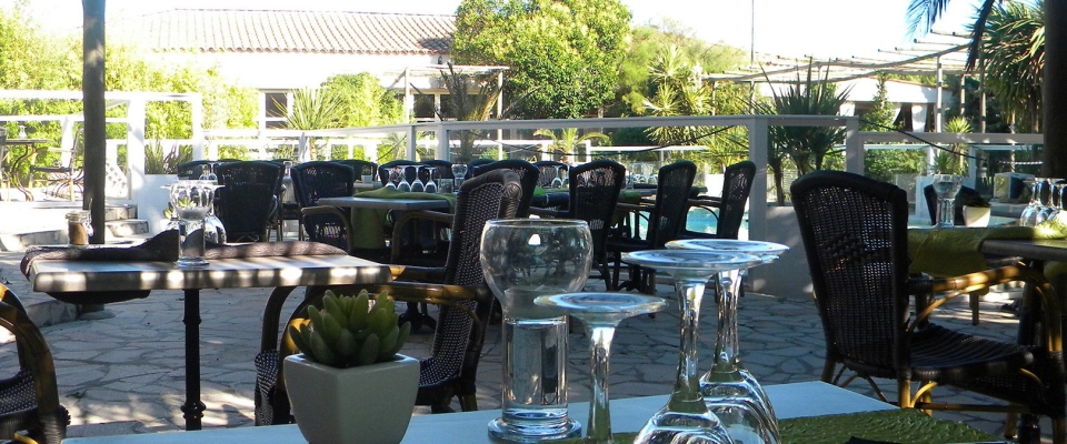 Marin'Palm Languedoc-Rosellón - Vic-la-Gardiole visuel 8/8