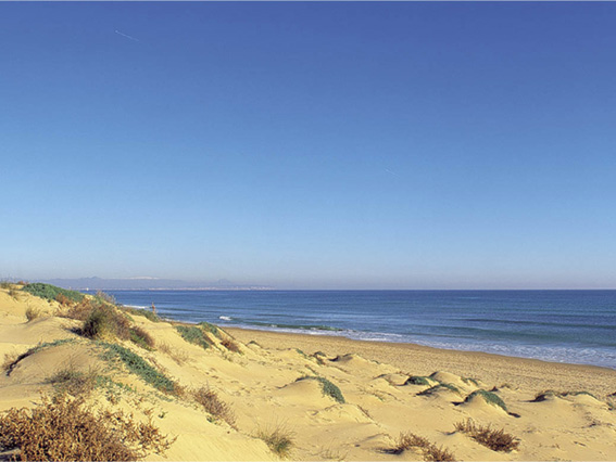 Marjal Bungalows Resort Costa Blanca - Guardamar del Segura visuel 2/9 Marjal Bungalows Resort Costa Blanca - Guardamar del Segura visuel 2/9